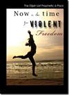 Now is the Time for Violent Freedom